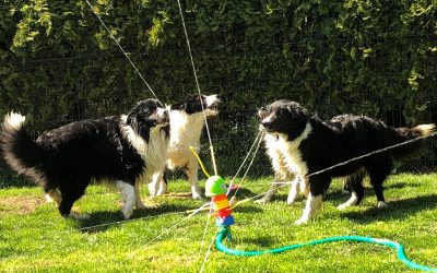 Wasserspiele im Garten